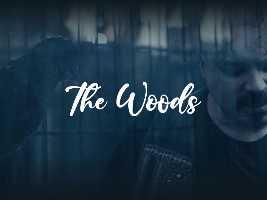 The Woods – Senseless